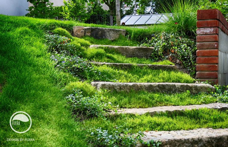 Hill terracing