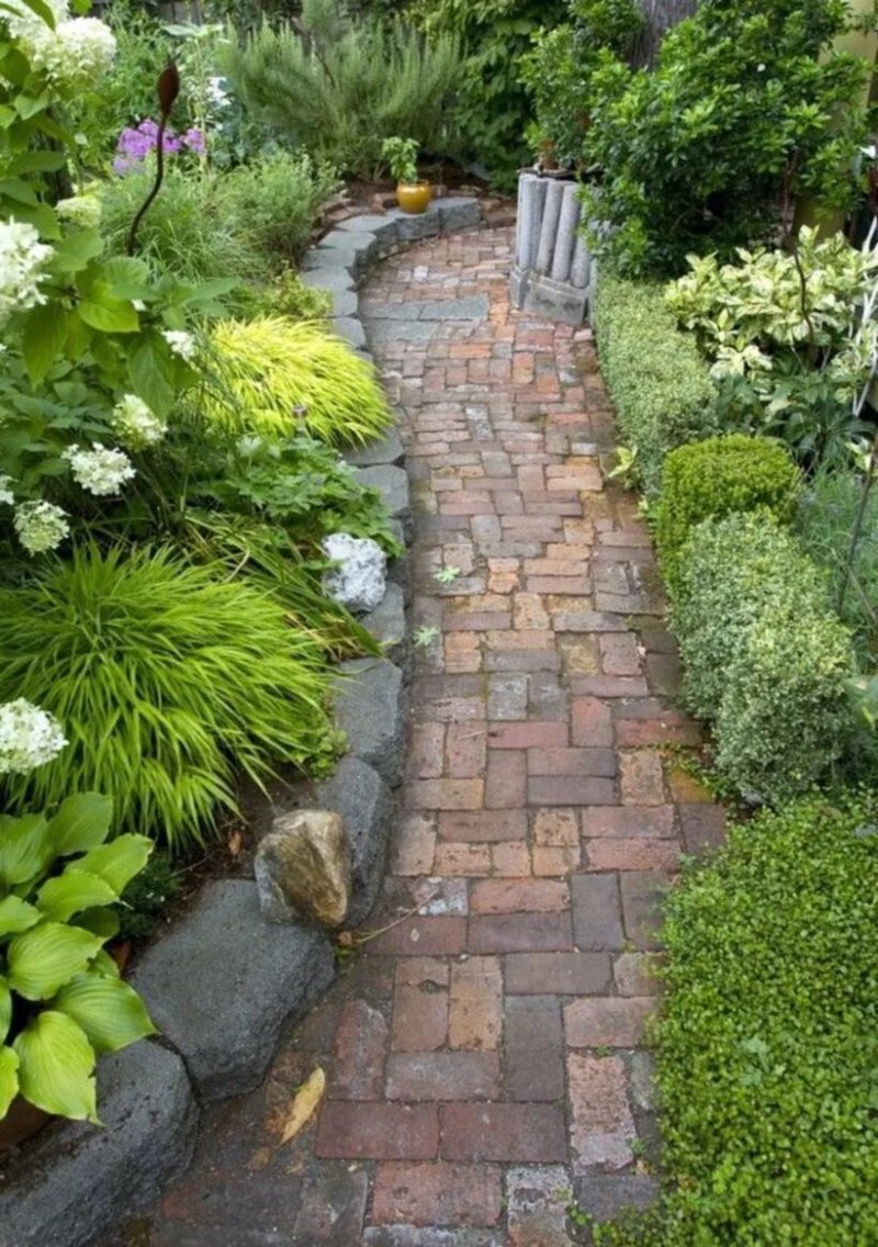 The path to the garden