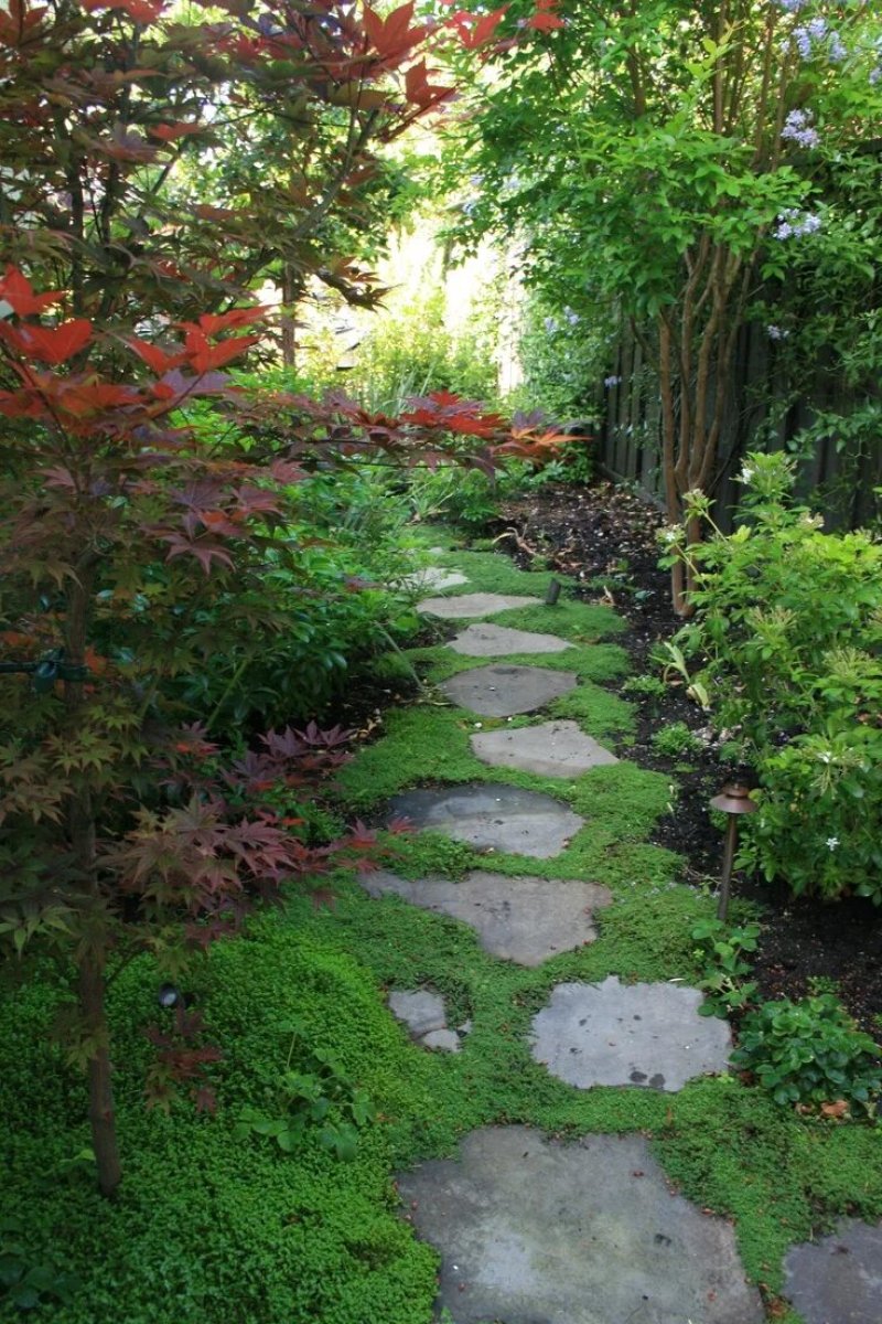 The path to the garden