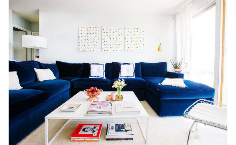 Living room with a blue sofa