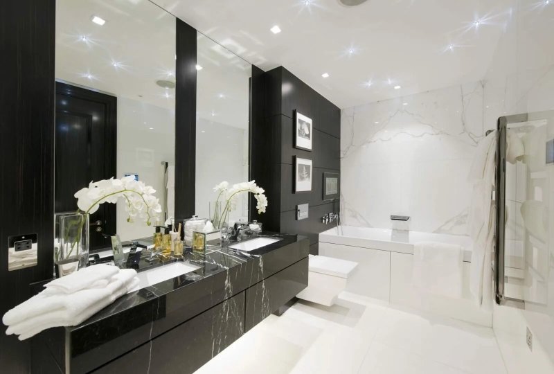 Black white bathroom