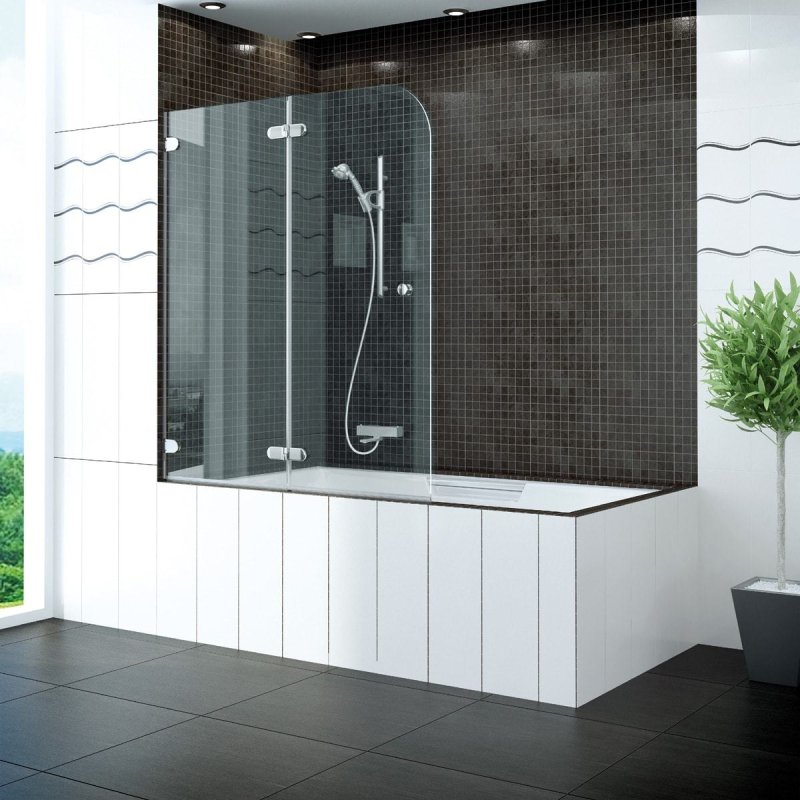 Bathroom glass curtain