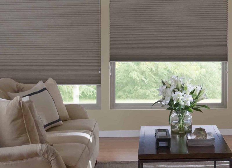 Blase Blackout blinds