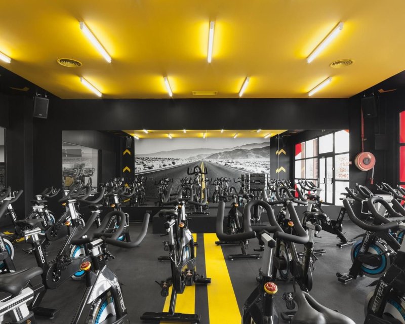 The design of the gym