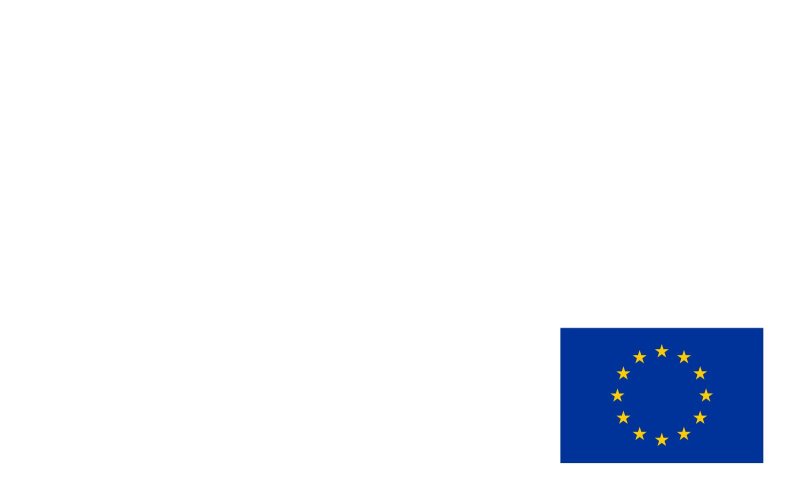 European Union Flag