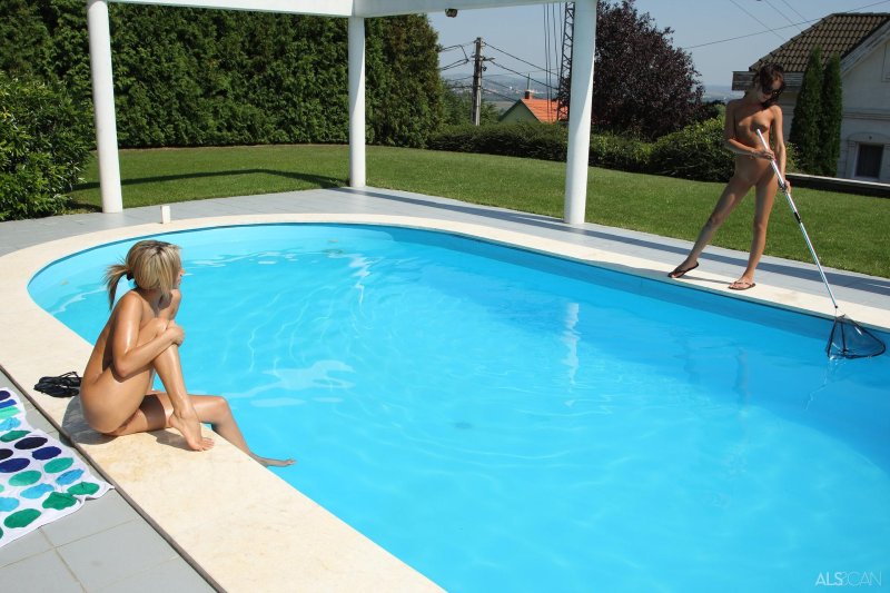 Vacuum cleaner for the pool