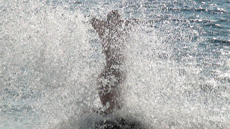 Naturists on vacation