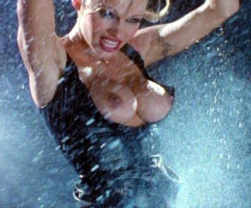 Pamela anderson lee