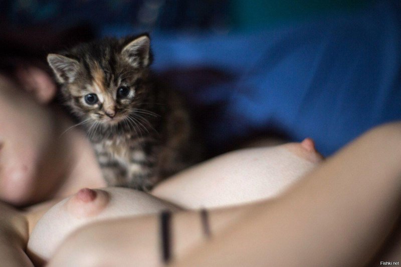 Beautiful pussies of girls