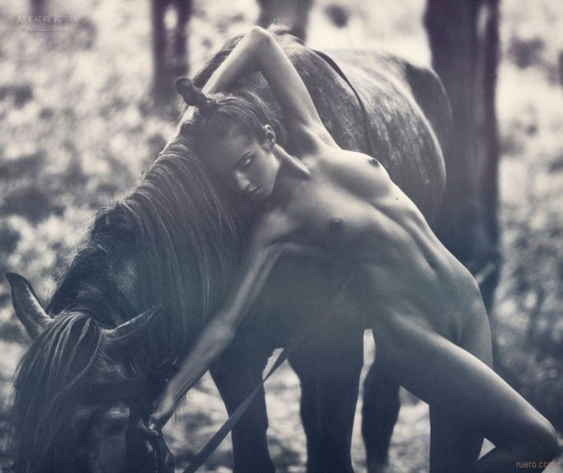 Photo shoots with horses