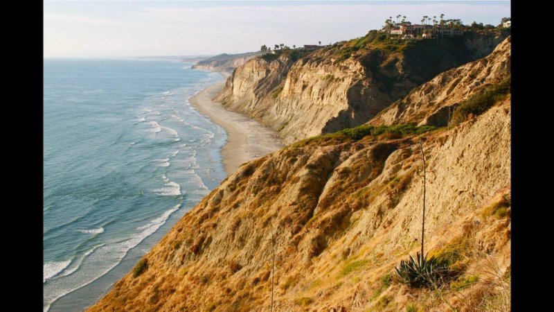 Torrey pines state beach