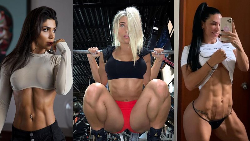 Fitness model