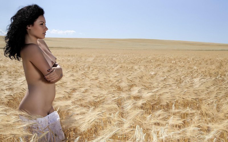 Nude girls in the wheat field