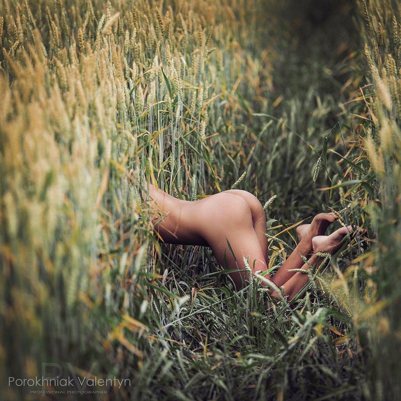 Photo session in nature