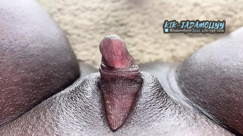 Big Black Dicks