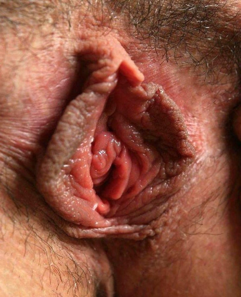 Vagina Flower