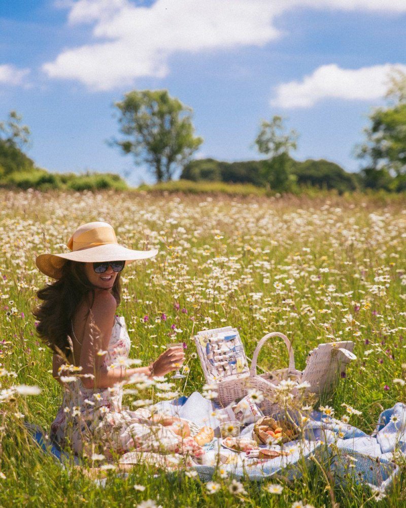 Summer picnic in nature