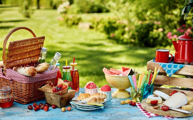 Beautiful picnic in nature