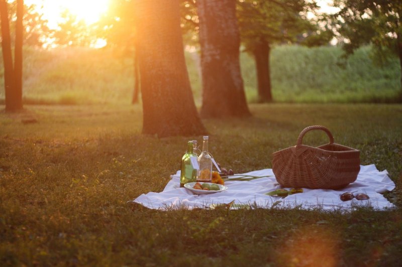 Picnic in the forest