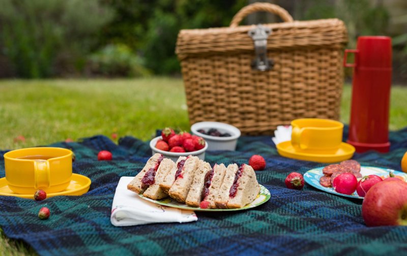 Beautiful picnic