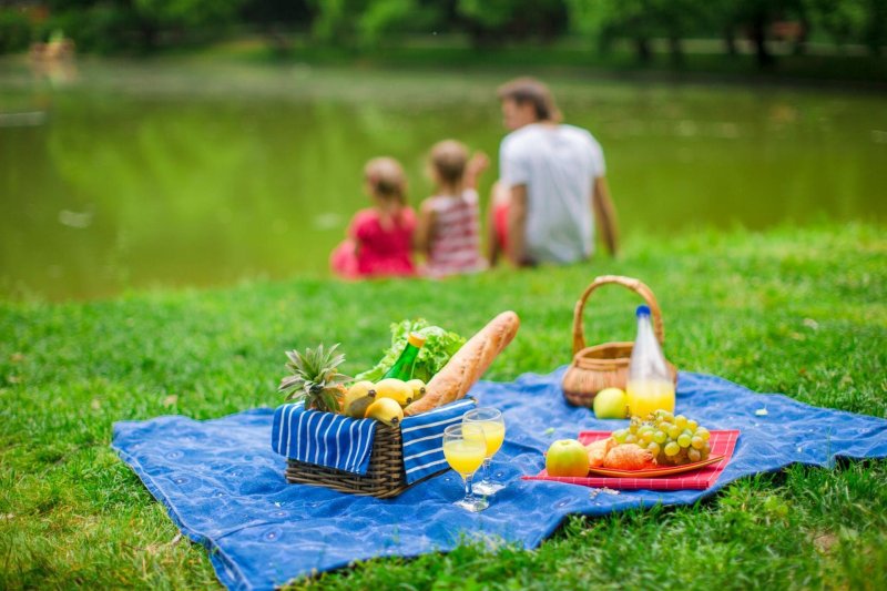 Picnic with a family in nature