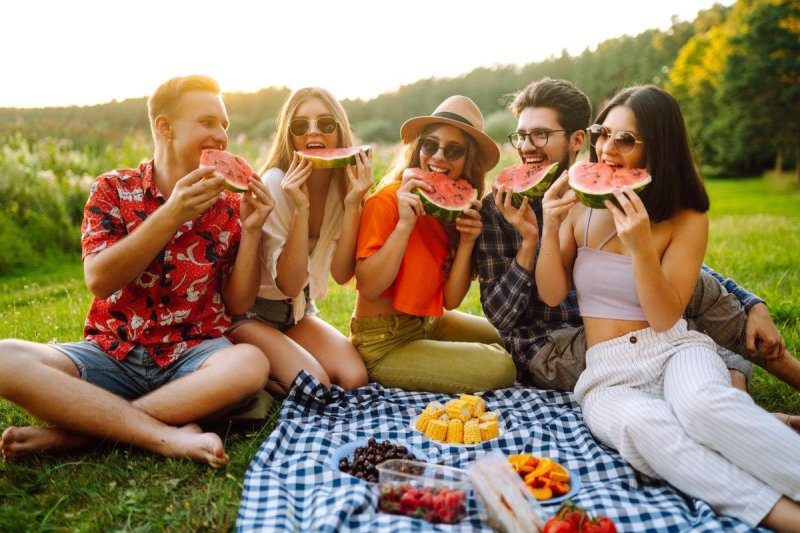 Picnic friends
