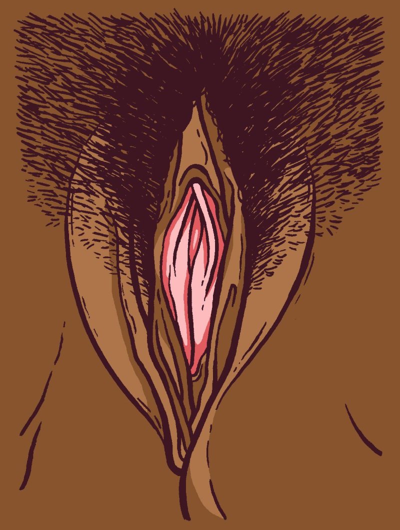 Contemporary art of Vagina