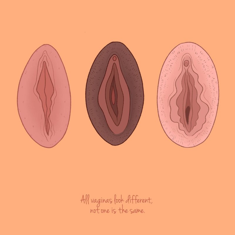 La Vagina