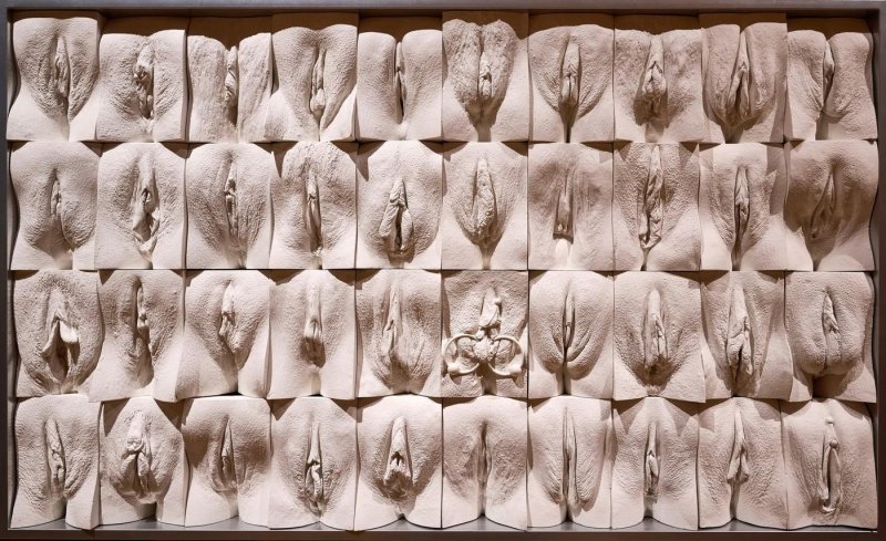 Jamie McCartney Great Vagin wall