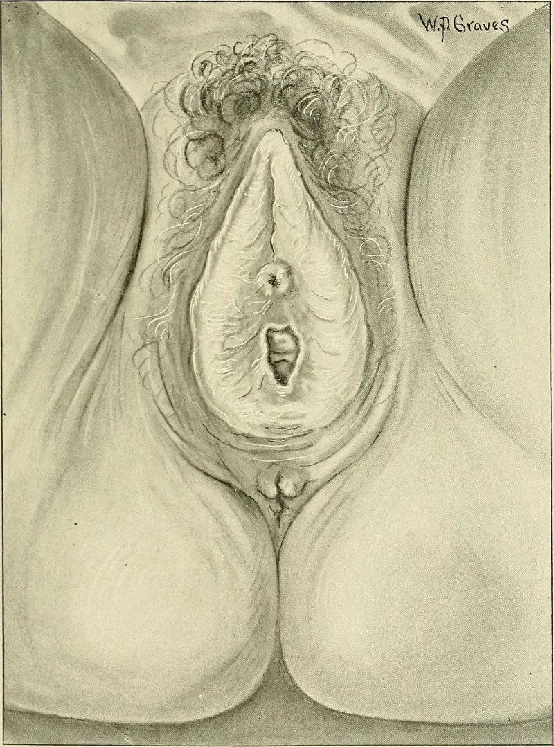 Vulva Art Image