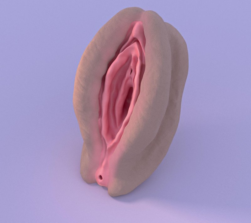 Lovely vagina d