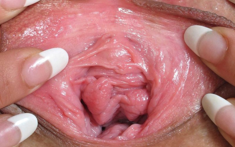 Huge female vagina