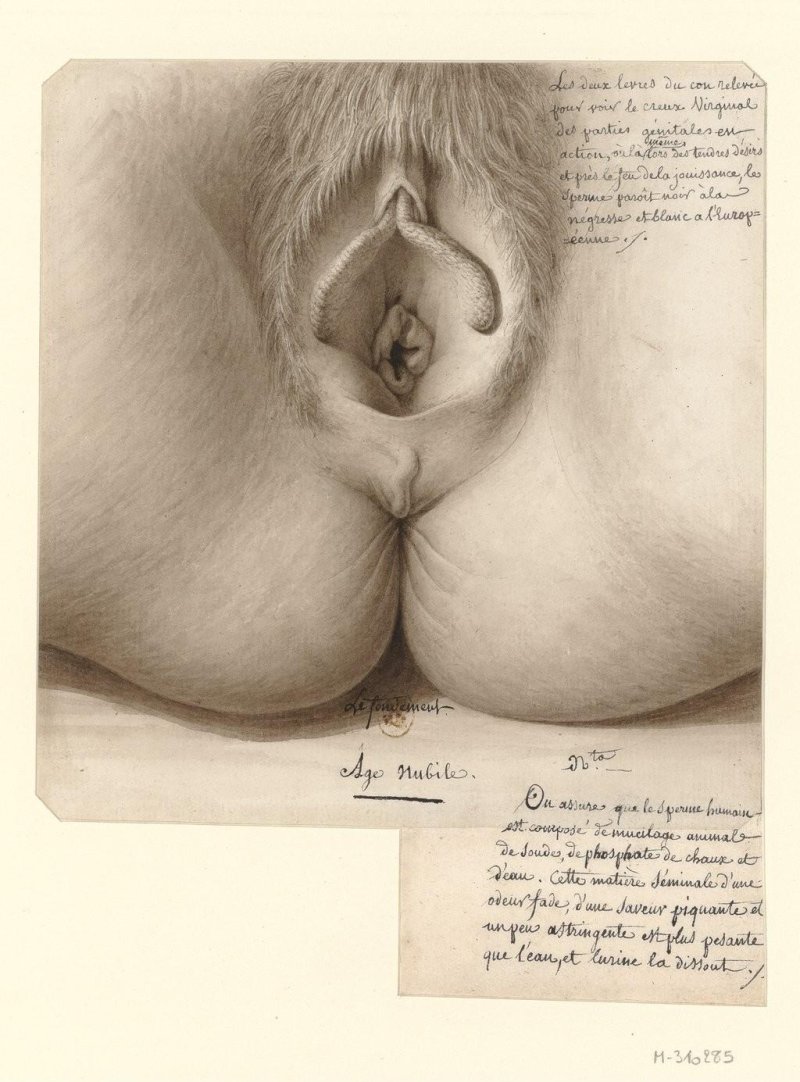 Pictures with the image of vagina