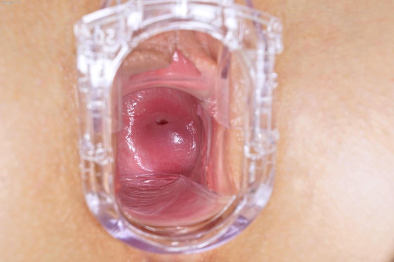 Healthy vagina from the inside
