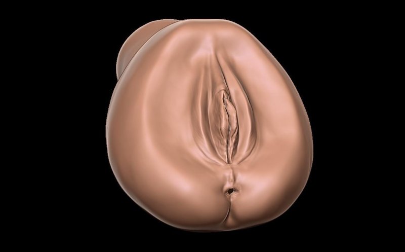 Vagina D