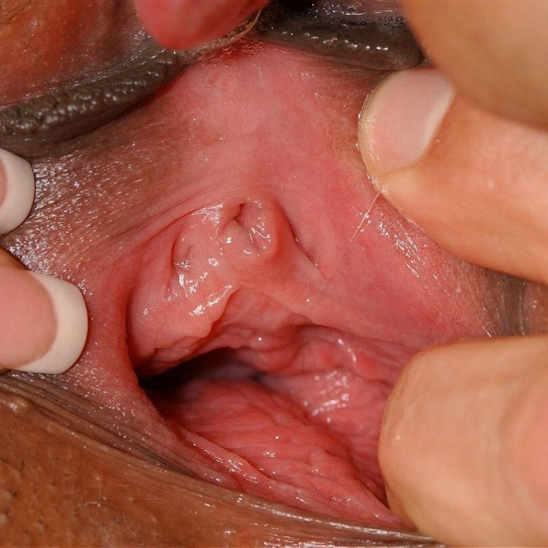 Pussy from the inside