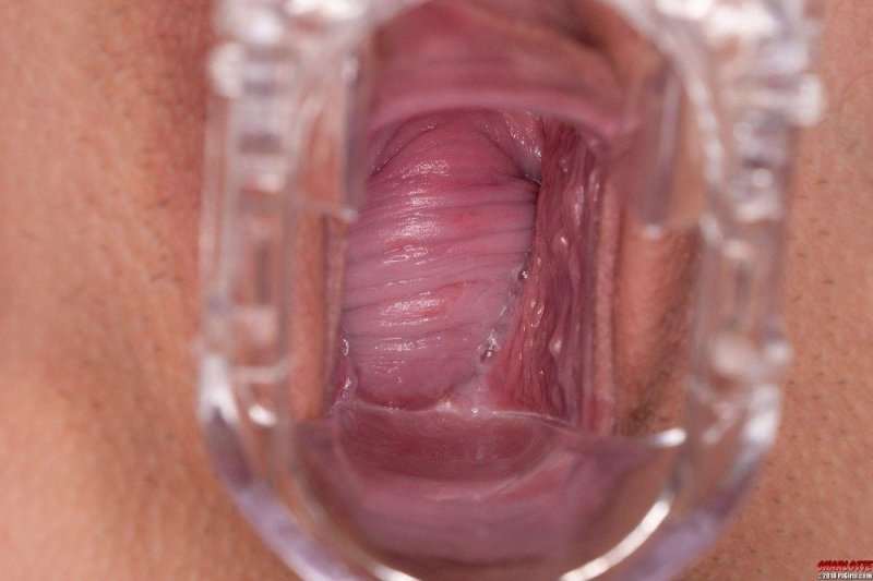 Vagina from the inside