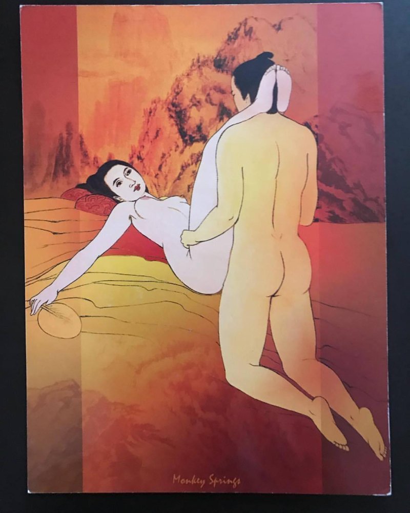 Porn Kamasutra