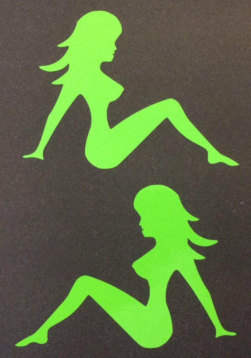Auto sticker