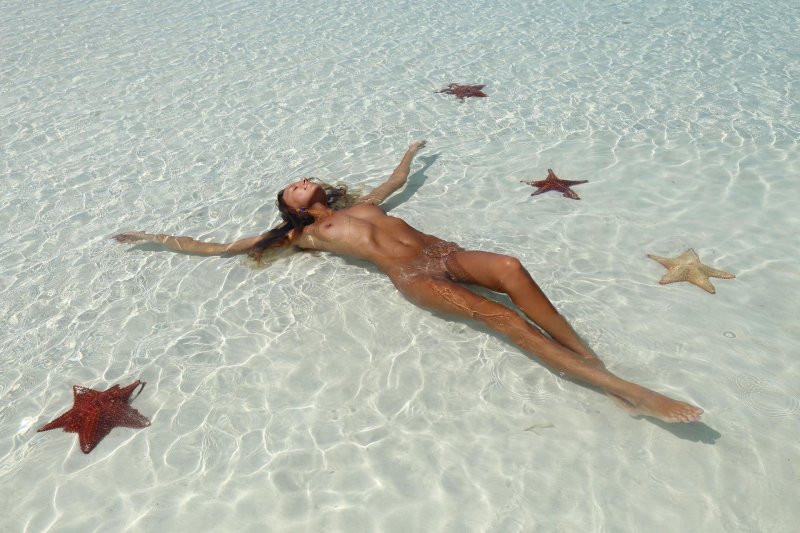 Sea star
