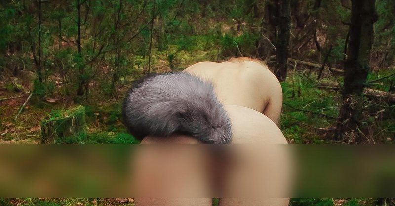 Tail of a wolf
