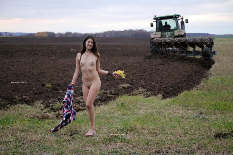 Field plowing