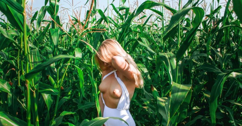 Photo shoot in corn