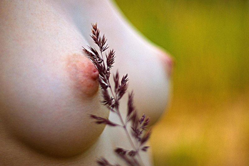Beautiful large nipples