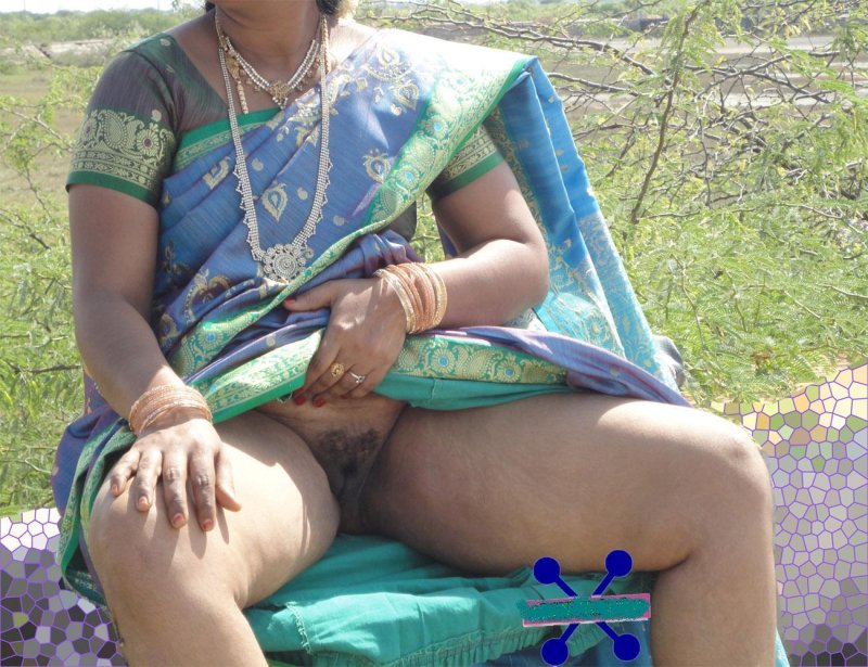 Indian sari