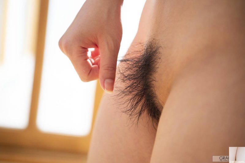 Hair on the pubis