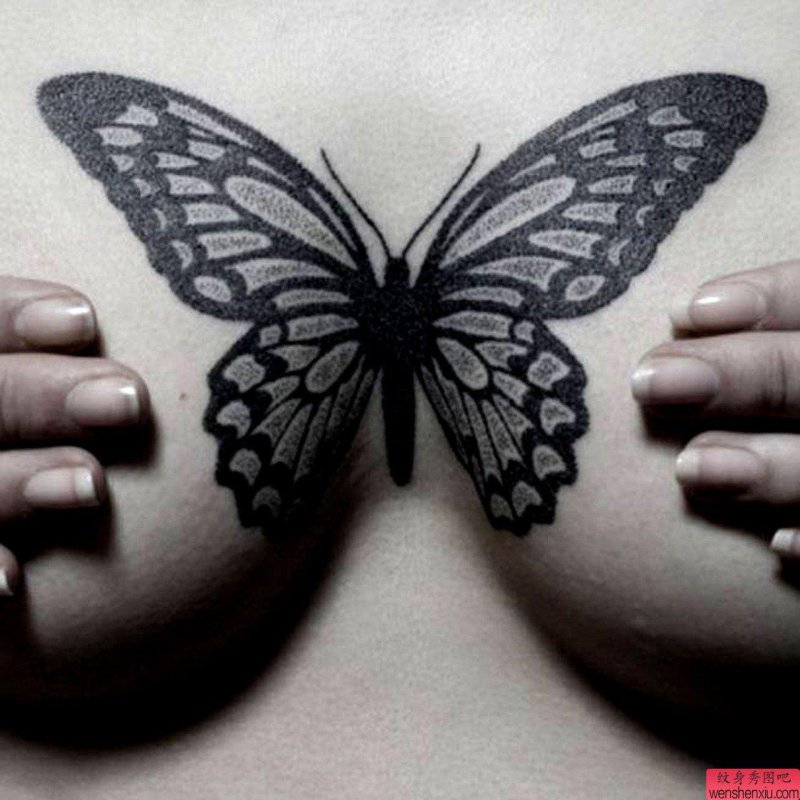 Tattoo butterfly on the chest
