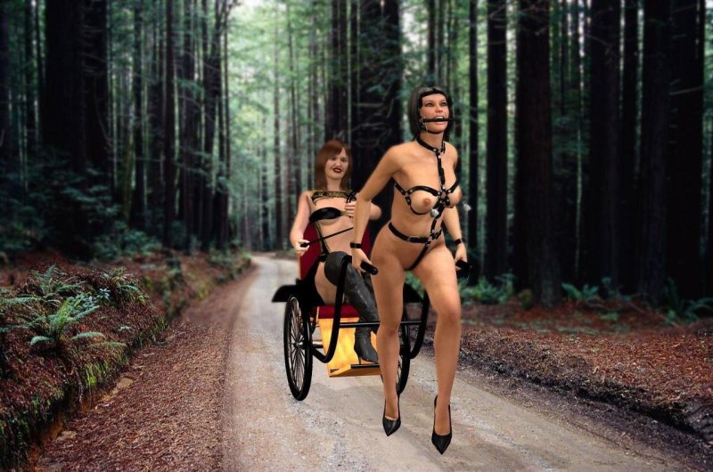 Girl drawn in the wagon BDSM