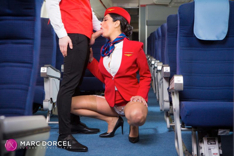 Stewardess porn