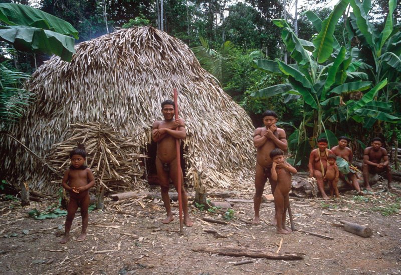 Naked women of the tribe Janomes